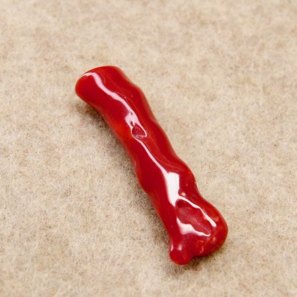 画像3: 血赤珊瑚　枝 S