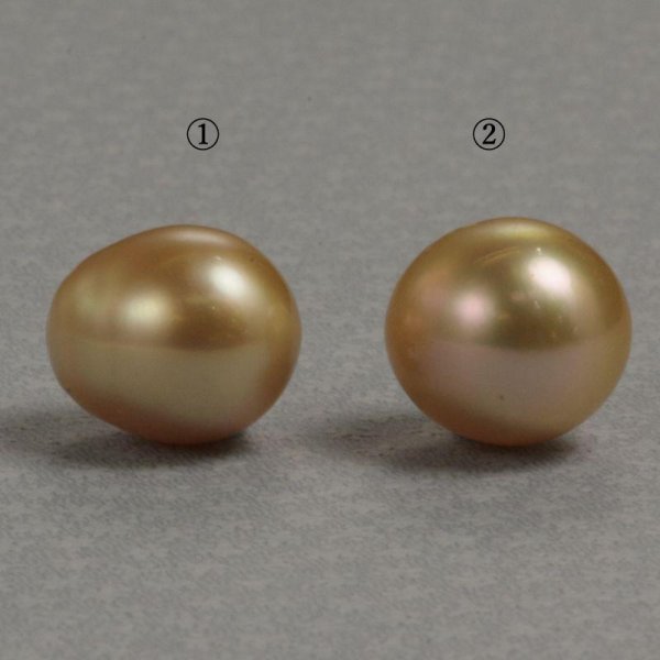 画像2: 白蝶ゴールドパール　約11×12mm　穴なし ※１個単位の販売