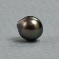 黒蝶パール　約10.5×9.5mm　穴あり