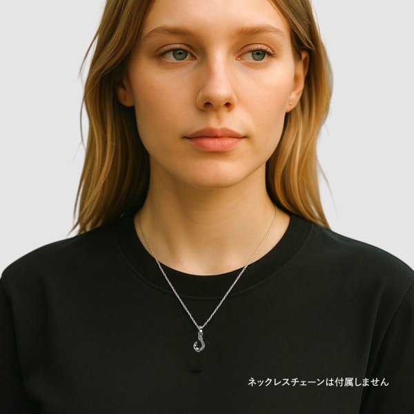 画像8: 【再入荷】Pt900フィッシュフックペンダント SSサイズ