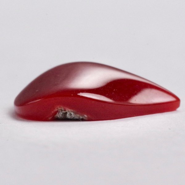 画像3: 血赤珊瑚 0.21匁/約0.8g YL-686