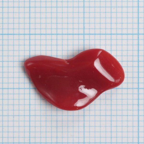 画像7: 血赤珊瑚 0.26匁/約1g YL-807