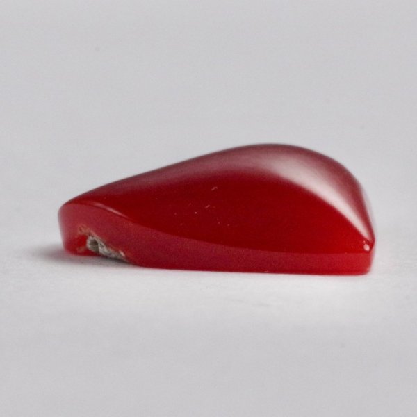 画像4: 血赤珊瑚 0.21匁/約0.8g YL-686