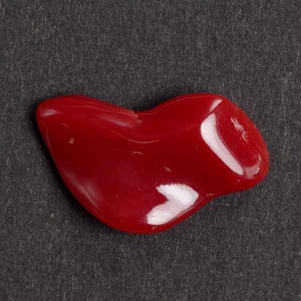 画像6: 血赤珊瑚 0.26匁/約1g YL-807