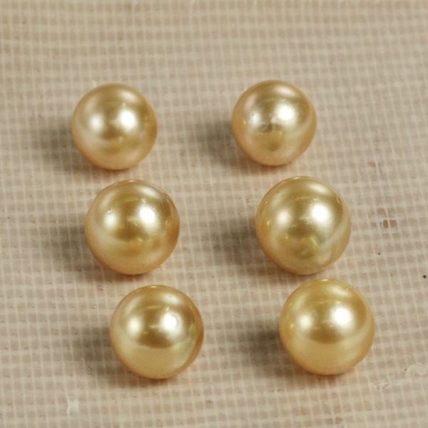 画像3: 白蝶パールゴールド系 約8〜8.8mm 穴なし ※ペア