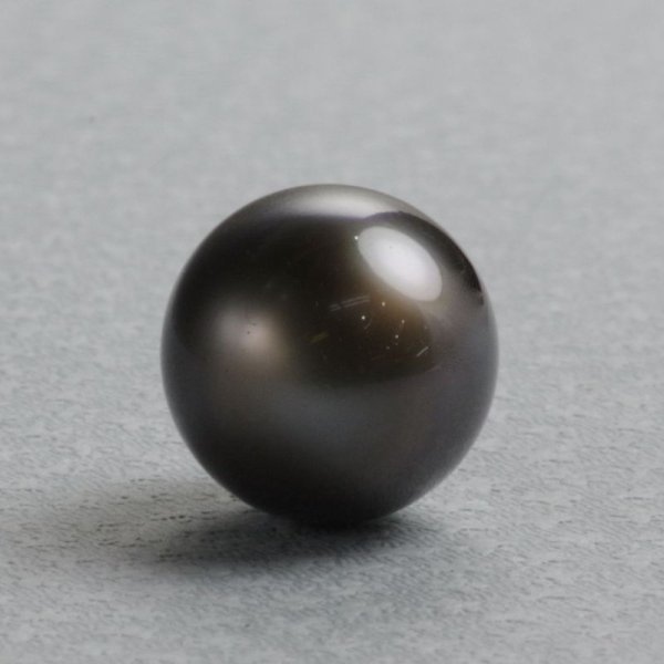 画像3: 【12mmUP】黒蝶パール　約15×12.6mm　穴なし