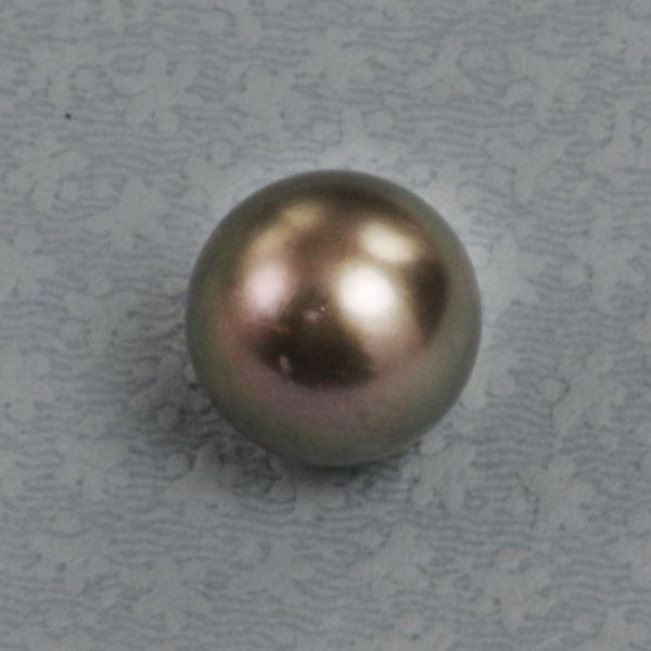 画像3: 黒蝶パール 約8.4mm 穴あり