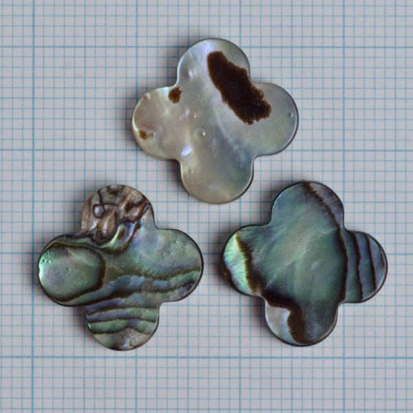 画像2: アバロンシェル 4枚花ルース 約16mm