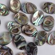 画像3: アバロンシェル オーバルルース 約14×10mm (3)