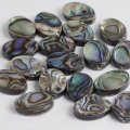 アバロンシェル オーバルルース 約14×10mm