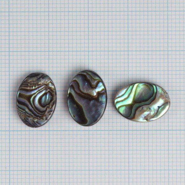 画像4: アバロンシェル オーバルルース 約14×10mm