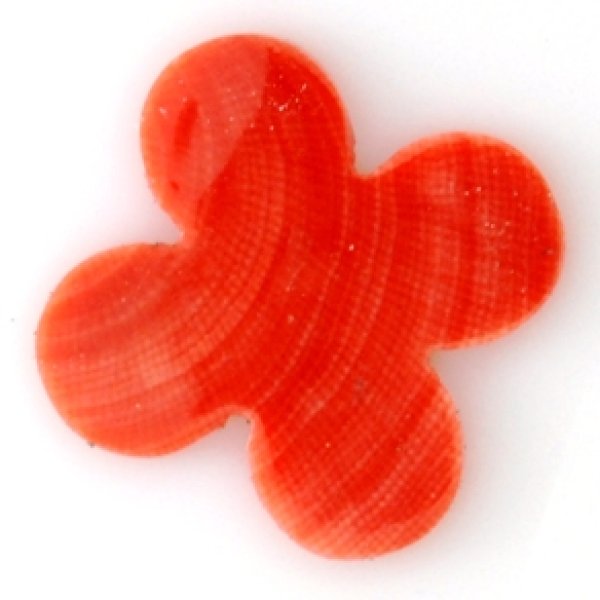 画像7: 珊瑚　クローバー (7)