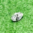 画像8: ダイヤモンド　マーキス　0.150ct  ４月誕生石　 (8)