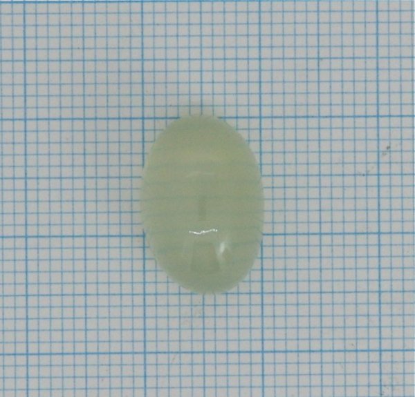 画像11: ムーンストーン　約15.3×10.5mm　6月誕生石 (11)