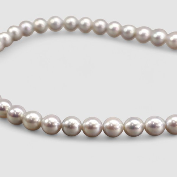 画像4: アコヤグレーパールネックレス (4)