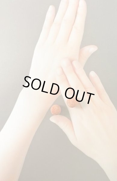 画像6: 珊瑚 す玉 約16.2-16.5mm (6)