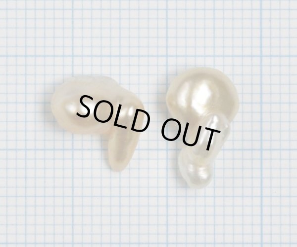 画像4: 白蝶ゴールドケシパール  6月誕生石 (4)