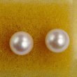 画像6: K14WGアコヤパールピアス (6)
