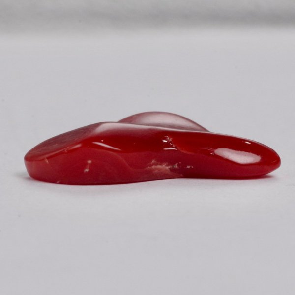 画像5: 血赤珊瑚 0.26匁/約1g YL-807 (5)