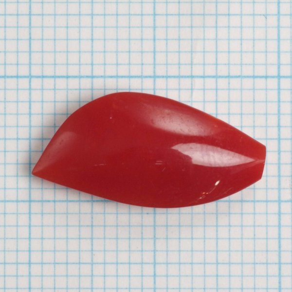 画像8: 血赤珊瑚 0.26匁/約1g YL-811 (8)