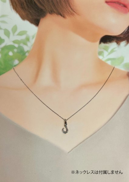 画像10: 【再入荷】Pt900フィッシュフックペンダント SSサイズ (10)