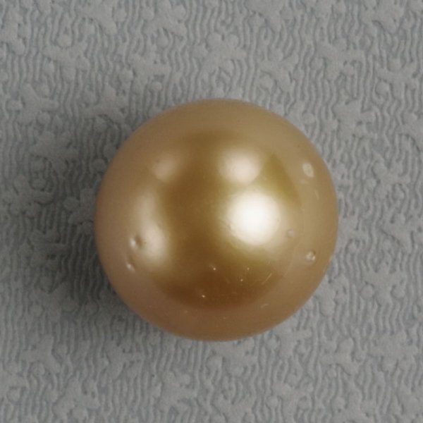 画像4: 【13mmUP】白蝶ゴールドパール　約13.4×13.2mm　穴なし (4)