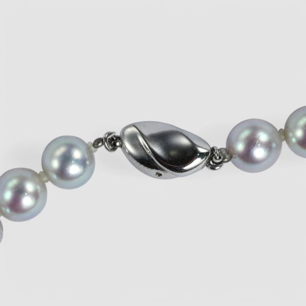 画像5: アコヤグレーパールネックレス (5)