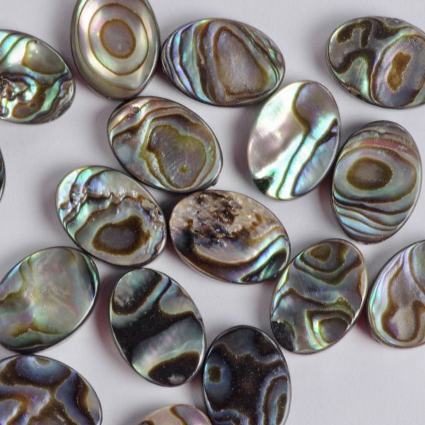 画像3: アバロンシェル オーバルルース 約14×10mm (3)