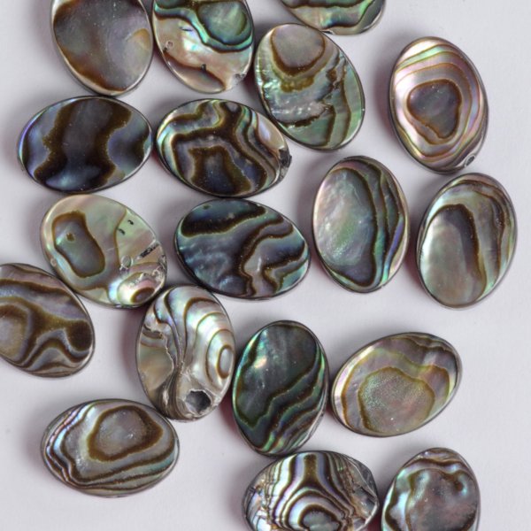 画像2: アバロンシェル オーバルルース 約14×10mm (2)