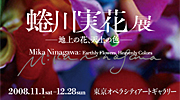秋の半額セール開催!